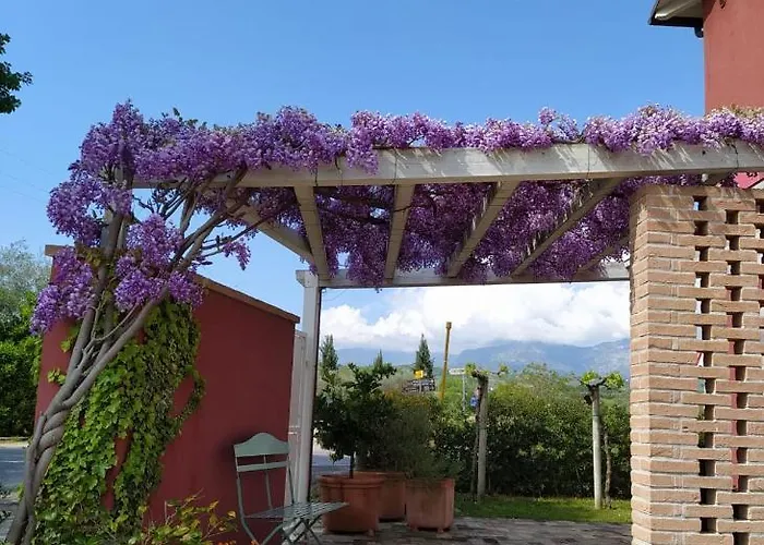 Kır Evi Le Stagioni