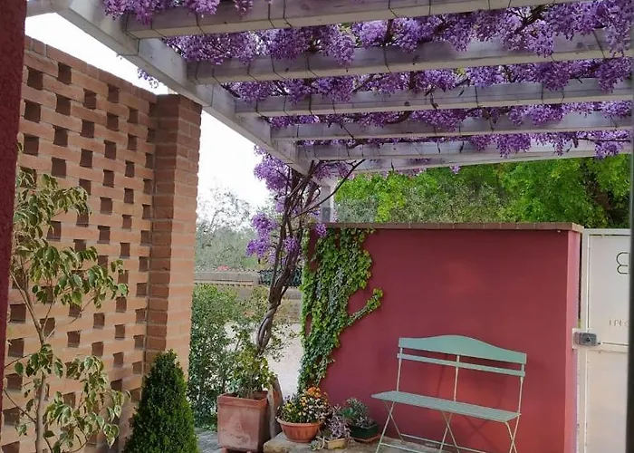 Kır Evi Le Stagioni